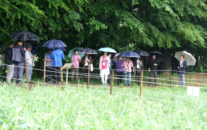 cc47bf0f3bb42d1c016e457608e363c7_1558537