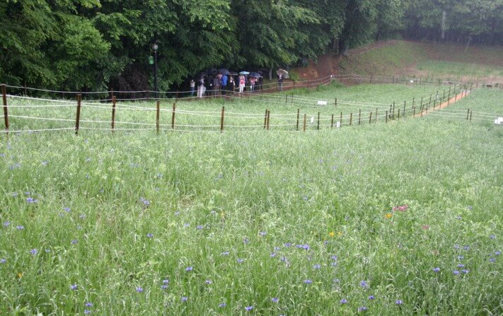 cc47bf0f3bb42d1c016e457608e363c7_1558537