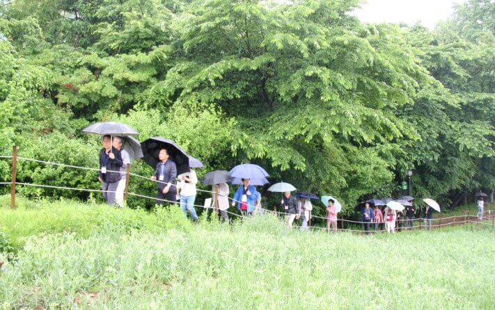 cc47bf0f3bb42d1c016e457608e363c7_1558537