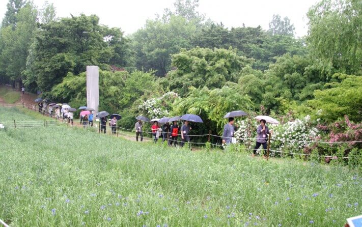 cc47bf0f3bb42d1c016e457608e363c7_1558537