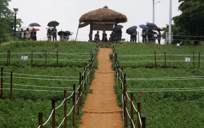 cc47bf0f3bb42d1c016e457608e363c7_1558537