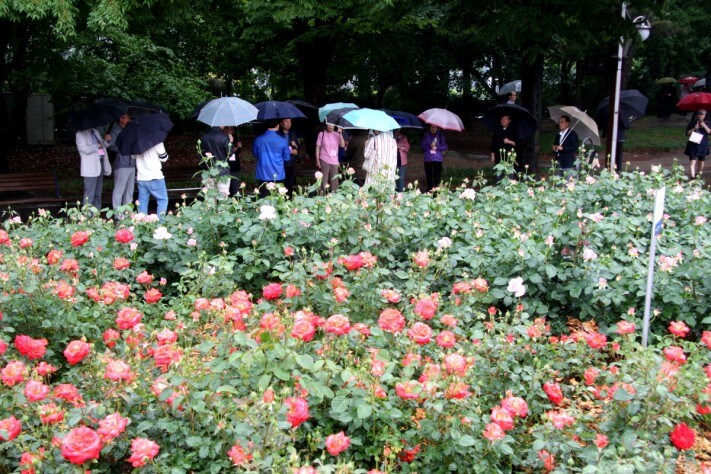 cc47bf0f3bb42d1c016e457608e363c7_1558537