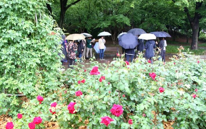 cc47bf0f3bb42d1c016e457608e363c7_1558537