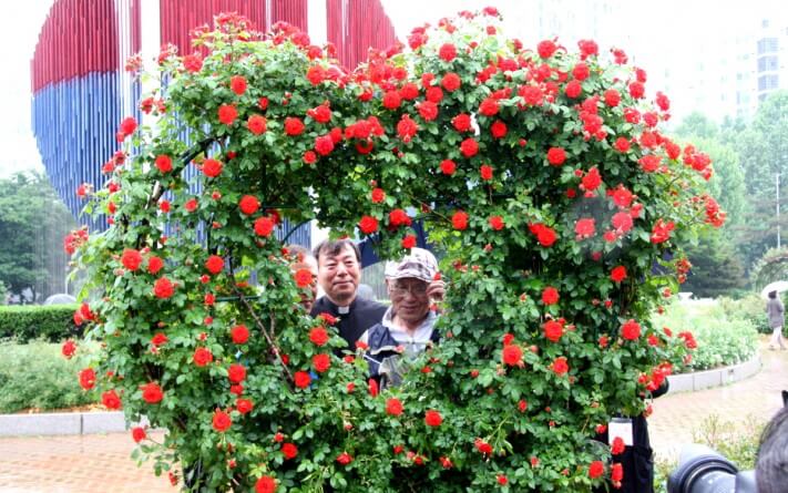 cc47bf0f3bb42d1c016e457608e363c7_1558537