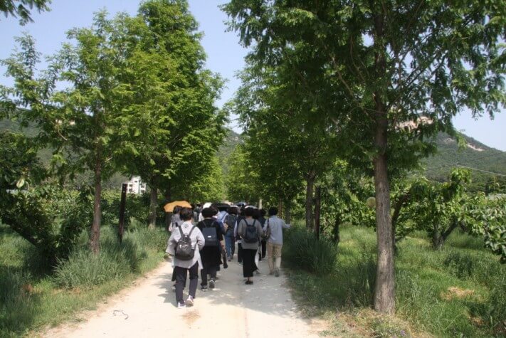 1ee9f163f4c510634bb2587ecf3a5adf_1559712