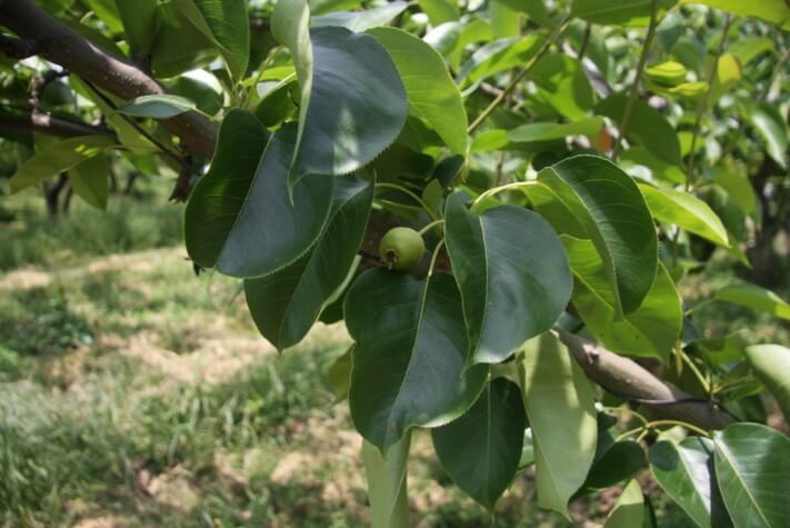 1ee9f163f4c510634bb2587ecf3a5adf_1559712