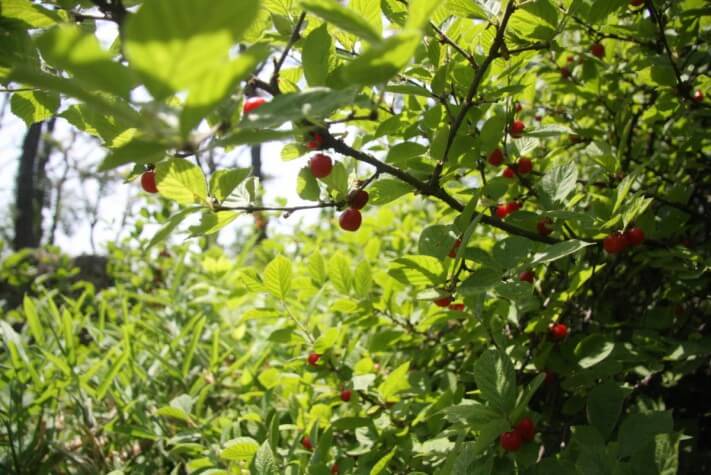 1ee9f163f4c510634bb2587ecf3a5adf_1559712