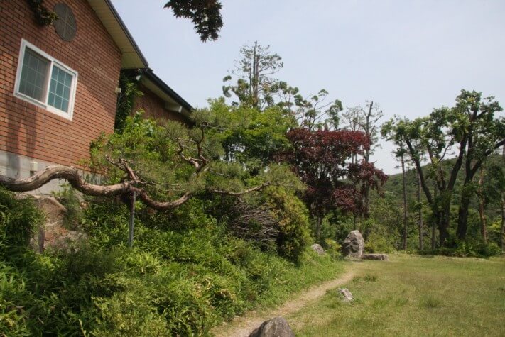 1ee9f163f4c510634bb2587ecf3a5adf_1559714