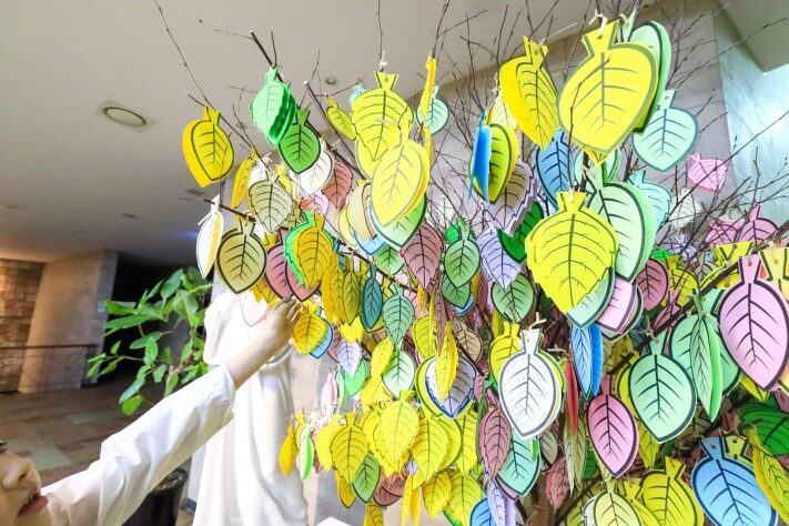 548dba2bdedabd8771c269b13de2df40_1559954