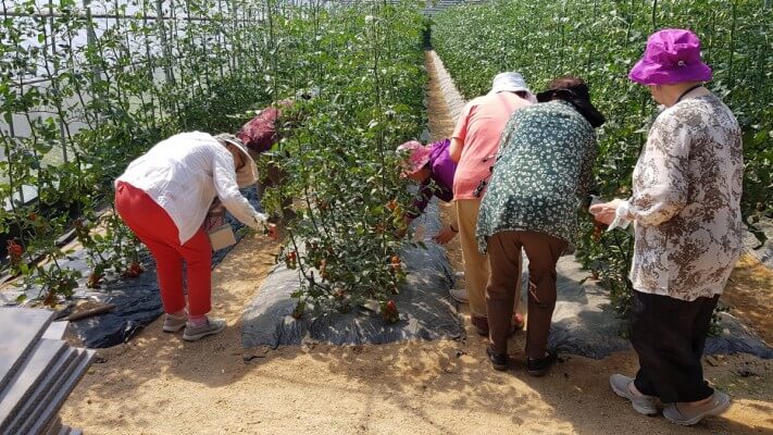 d8633f7fb6503f655060ad18aed7b8af_1560497