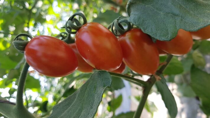 d8633f7fb6503f655060ad18aed7b8af_1560497