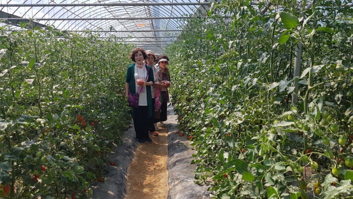 d8633f7fb6503f655060ad18aed7b8af_1560497