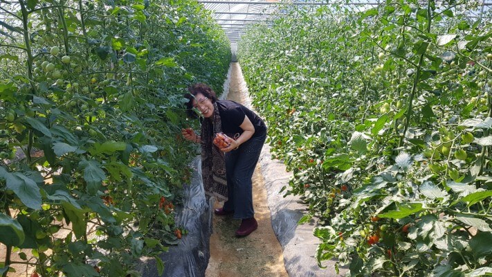 d8633f7fb6503f655060ad18aed7b8af_1560497