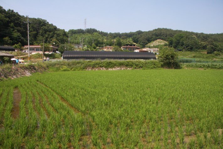 d8633f7fb6503f655060ad18aed7b8af_1560497