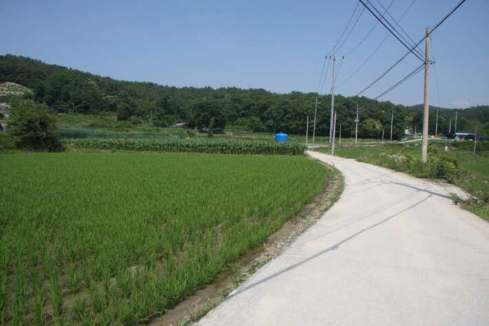 d8633f7fb6503f655060ad18aed7b8af_1560497