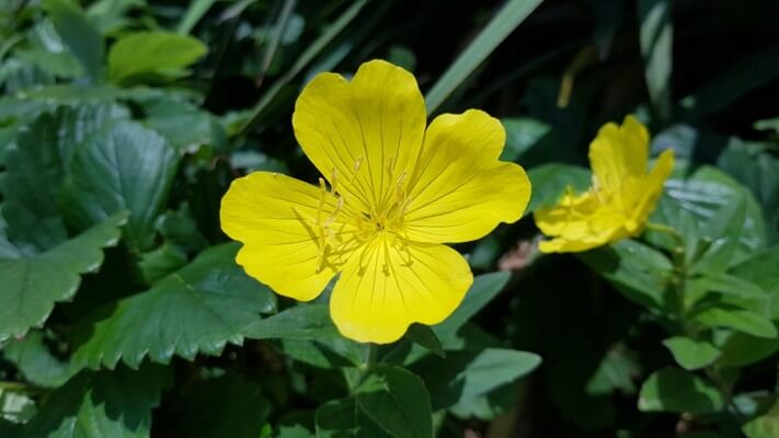 d8633f7fb6503f655060ad18aed7b8af_1560497