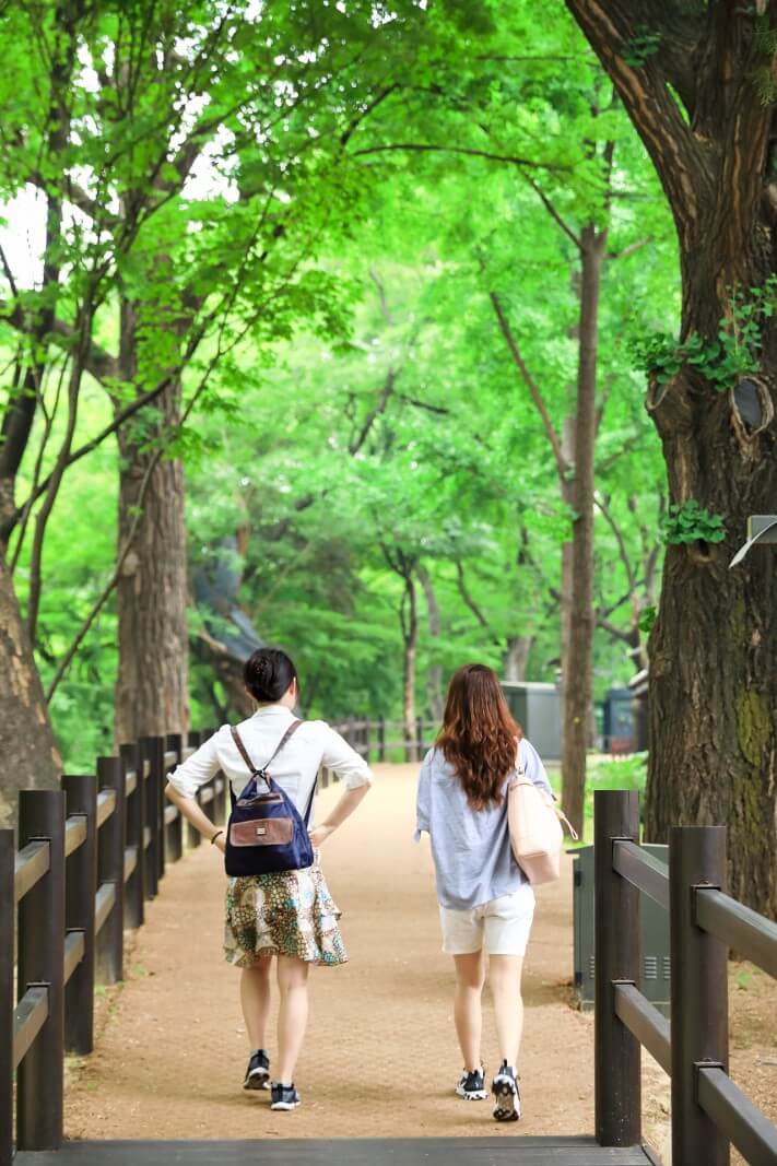 c800b817119f016ae99f35655387b813_1562466