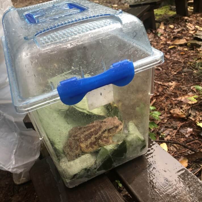 d1ed802e86ac8f5e8ece8630bd24aa7c_1569318