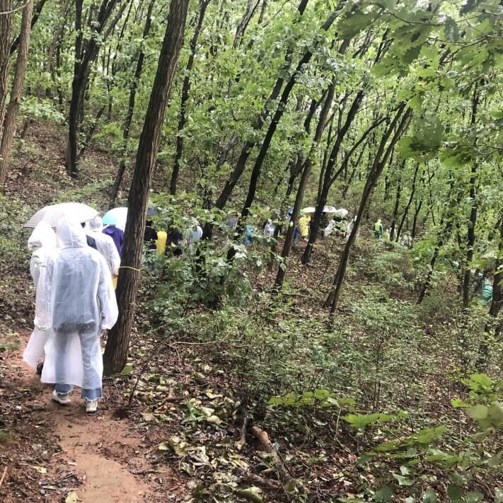 d1ed802e86ac8f5e8ece8630bd24aa7c_1569318