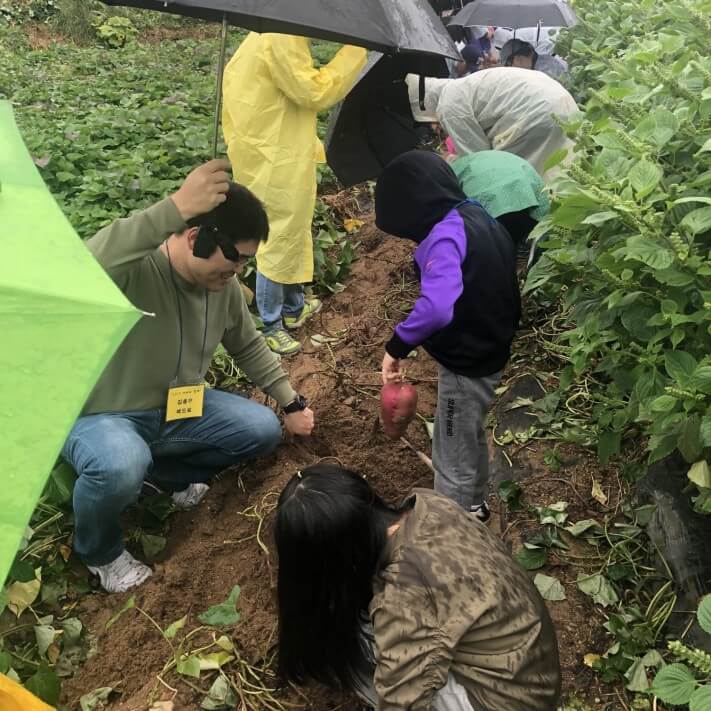 d1ed802e86ac8f5e8ece8630bd24aa7c_1569318