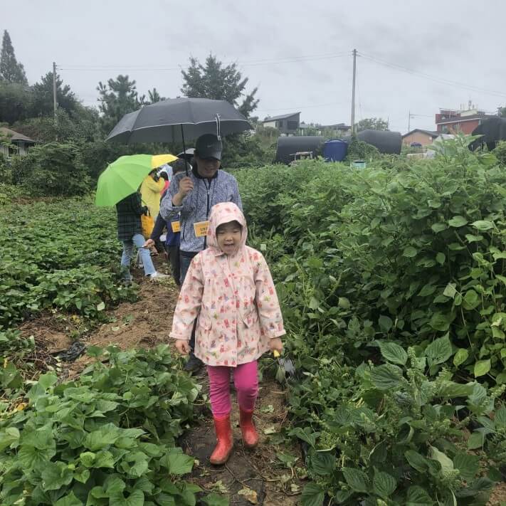 d1ed802e86ac8f5e8ece8630bd24aa7c_1569318