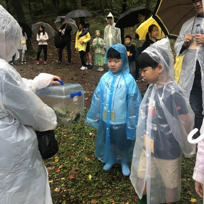 d1ed802e86ac8f5e8ece8630bd24aa7c_1569318