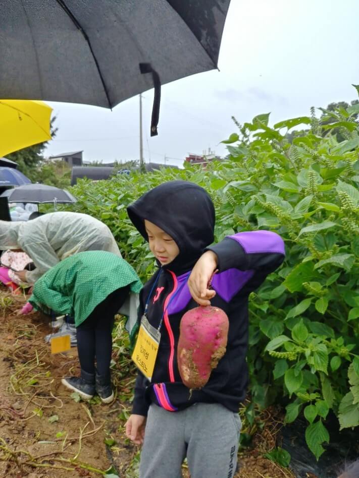 d1ed802e86ac8f5e8ece8630bd24aa7c_1569318