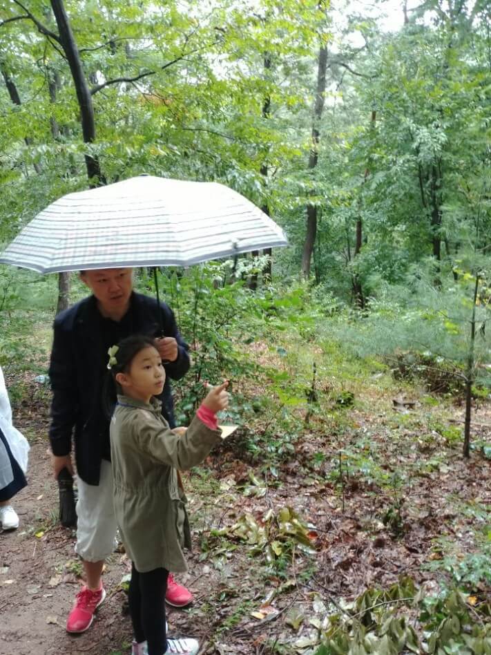 d1ed802e86ac8f5e8ece8630bd24aa7c_1569318