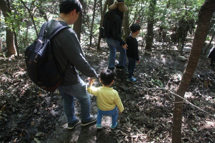 5d850a3bd09b2cc4beab1ddf95c6adfd_1570697