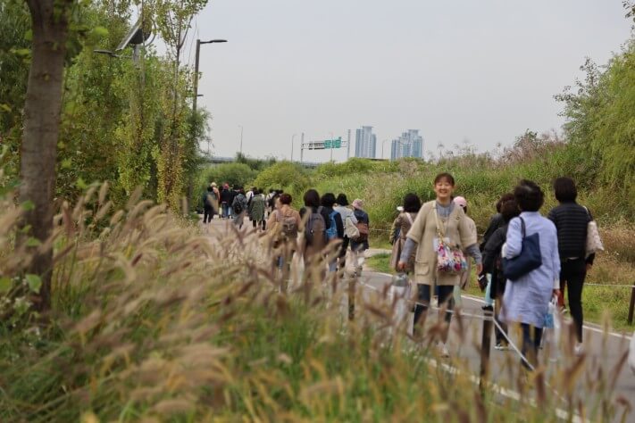 808d5240fa167f8b910ebd00744446b3_1571838