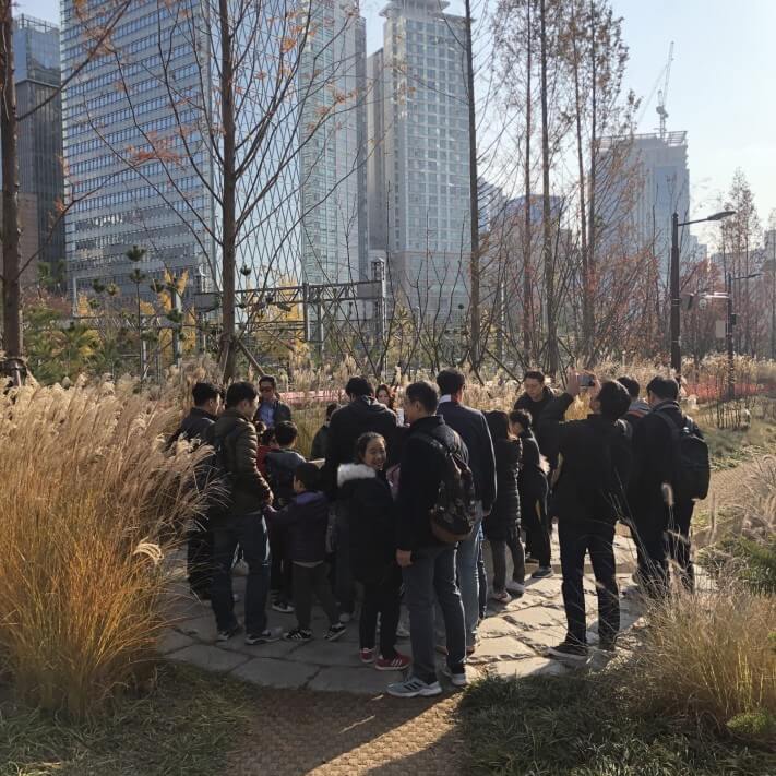 1f1d9d43e5f0079890acaf4c6425f286_1574674