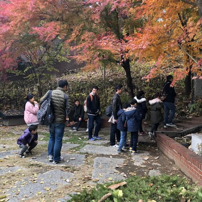 1f1d9d43e5f0079890acaf4c6425f286_1574674