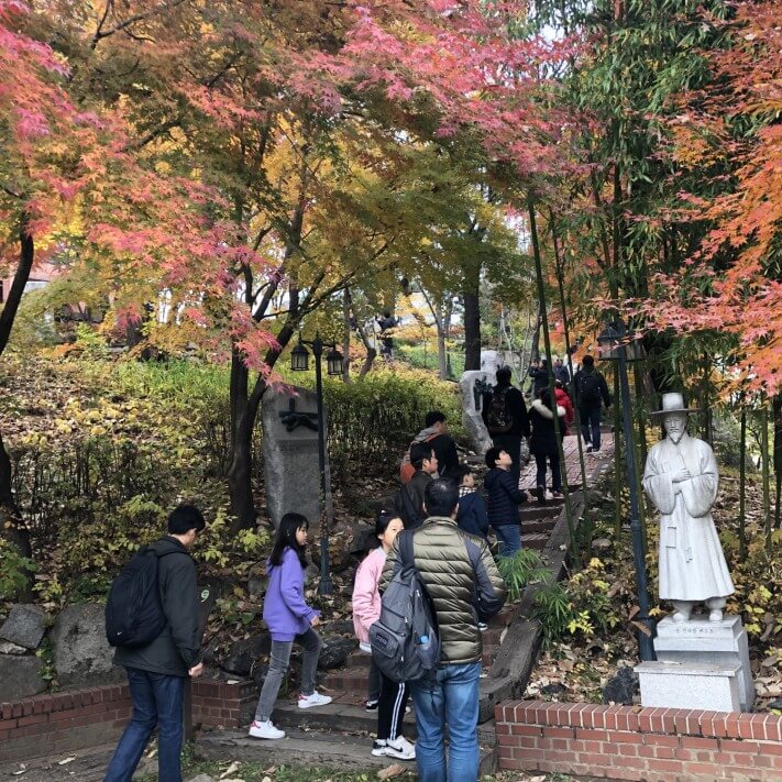 1f1d9d43e5f0079890acaf4c6425f286_1574674