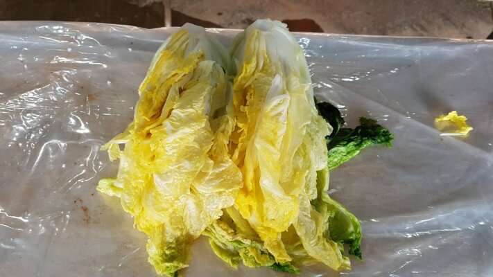 d115ebbd88b1d99b15604cb8bf56922a_1574398