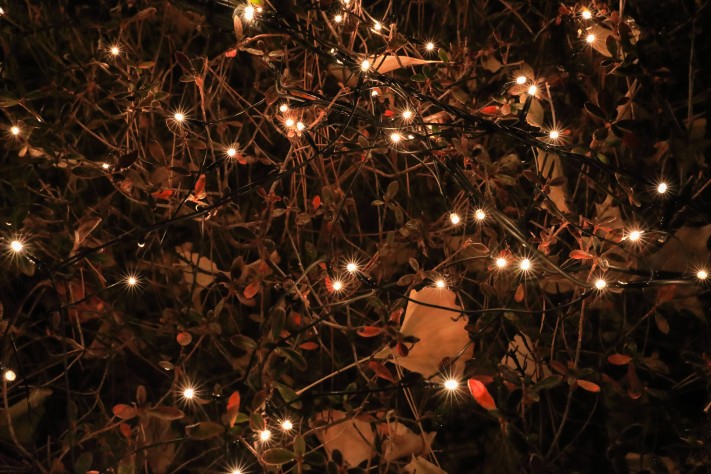 bad06287ed24ce6bbd89841611f20138_1577006