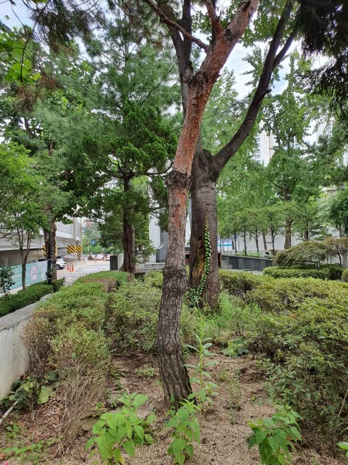 e680e48b313dfd32da442eef6bc7c6ba_1601174