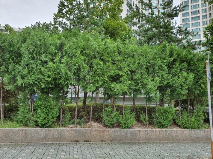 e680e48b313dfd32da442eef6bc7c6ba_1601174