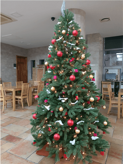 7f3b5e3372a5cc669cc1b495f676188f_1608863