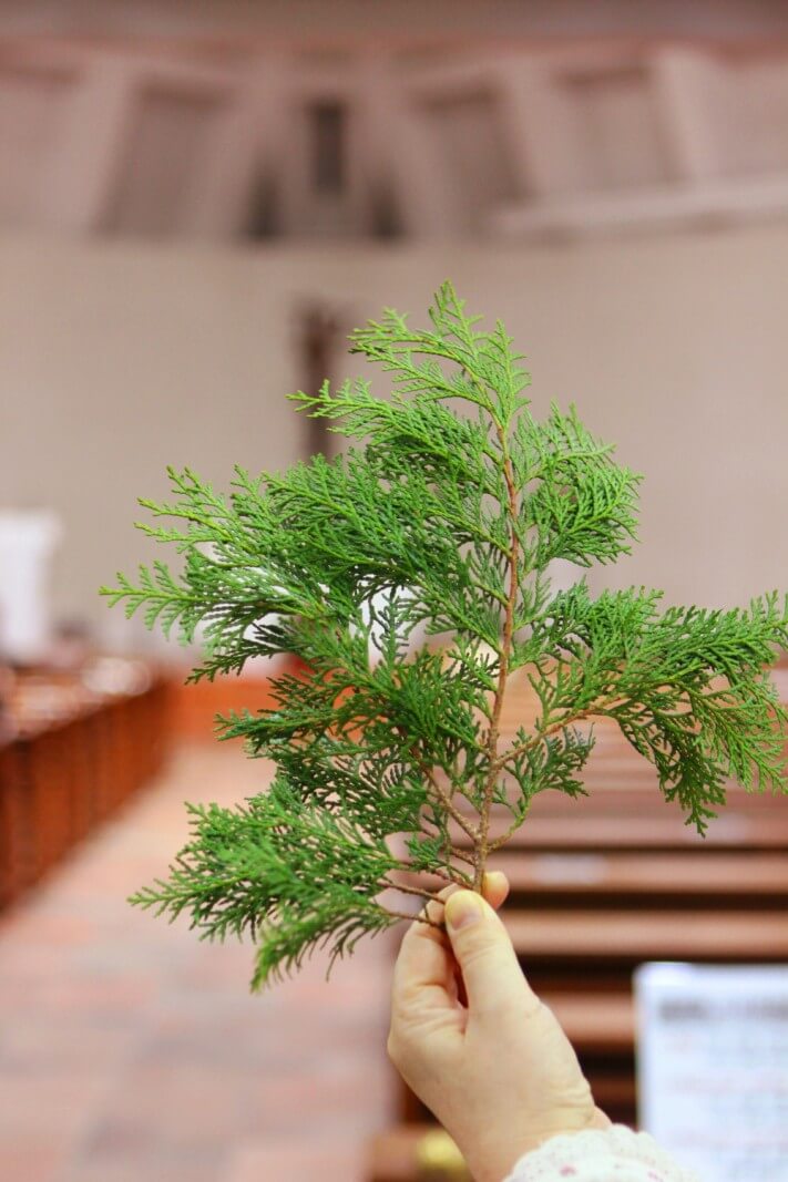 d8490e17fb69af805ab23809643e9e7c_1616913