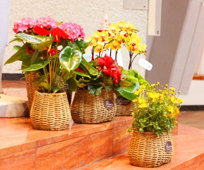 3a3aec1eb65b6f9240018ce3f9acaba3_1622281