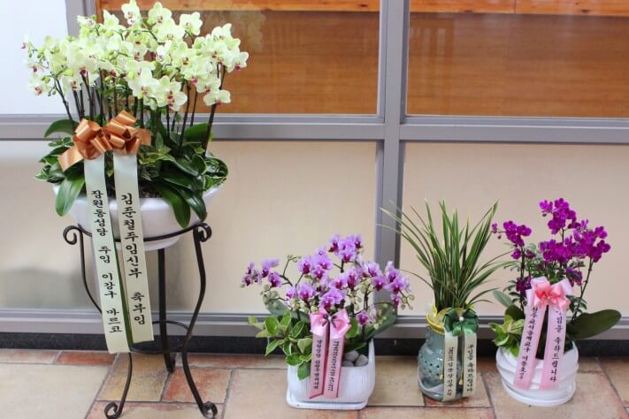 700654ecbce33451190929bededcd83f_1630455