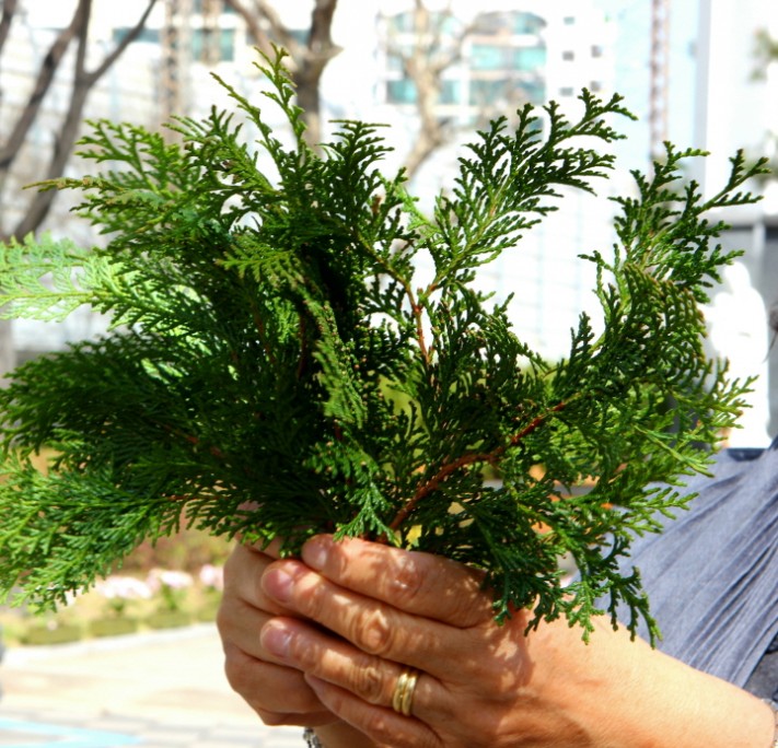 3a9e87ba1a7c46e46c1d183236a040ac_1649665