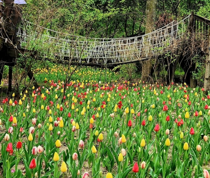 4e9dcac278b62a0a73370674ece32b49_1683012