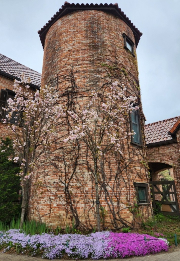 4e9dcac278b62a0a73370674ece32b49_1683012