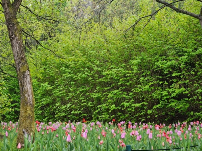 4e9dcac278b62a0a73370674ece32b49_1683012