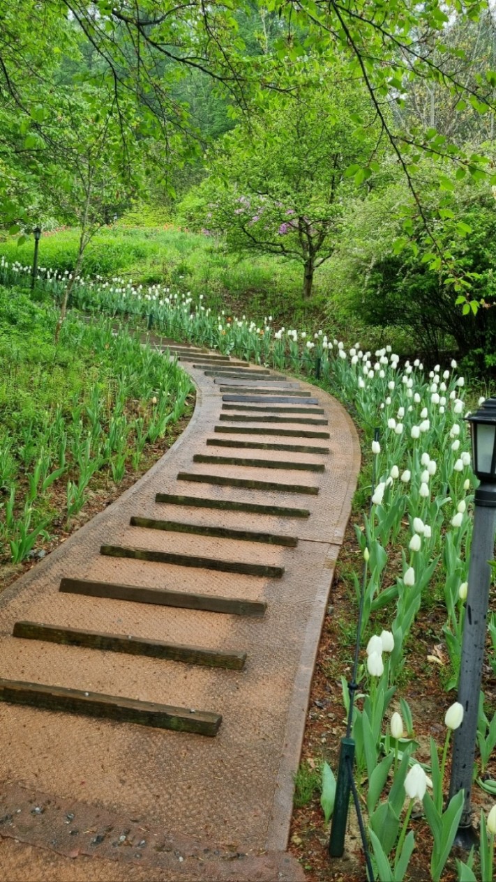 4e9dcac278b62a0a73370674ece32b49_1683012