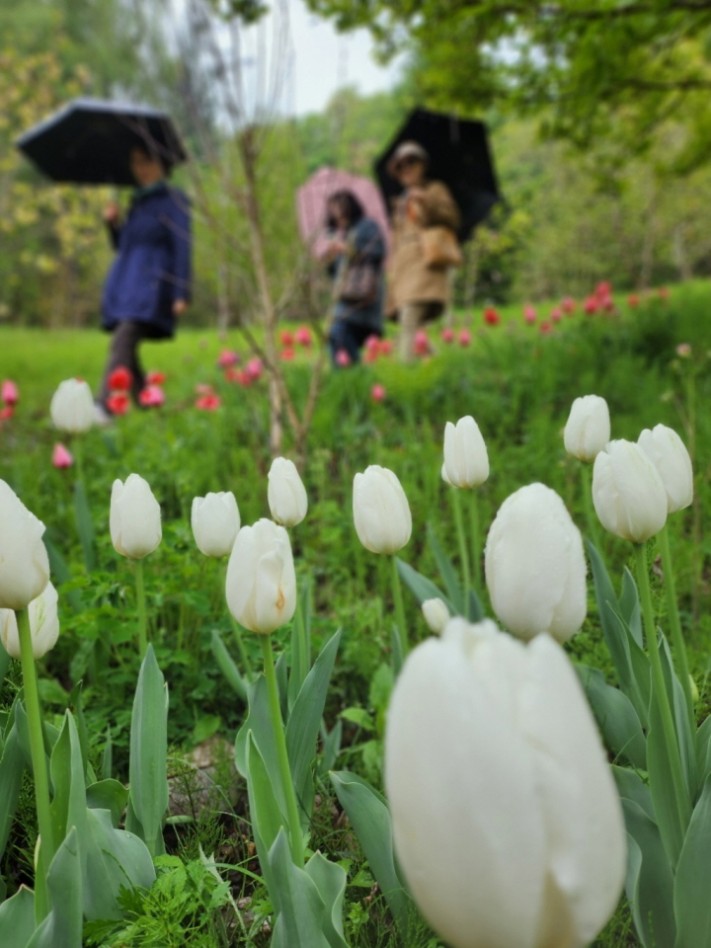 4e9dcac278b62a0a73370674ece32b49_1683012