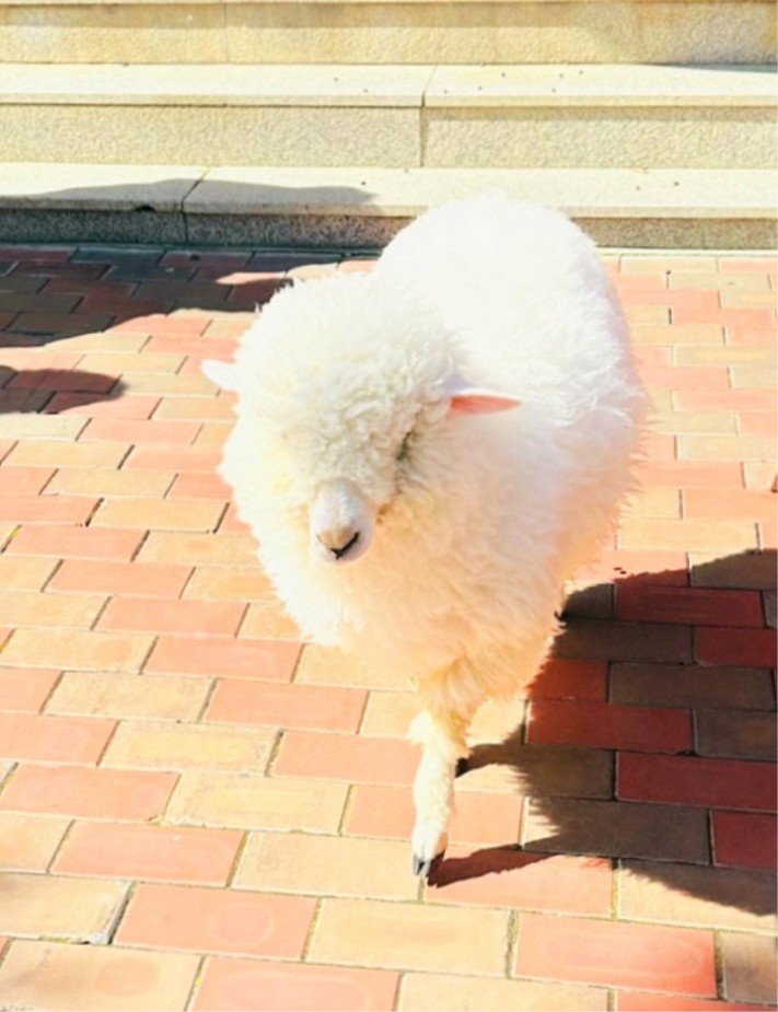 a64af9903662a194d77a71605780389f_1696556