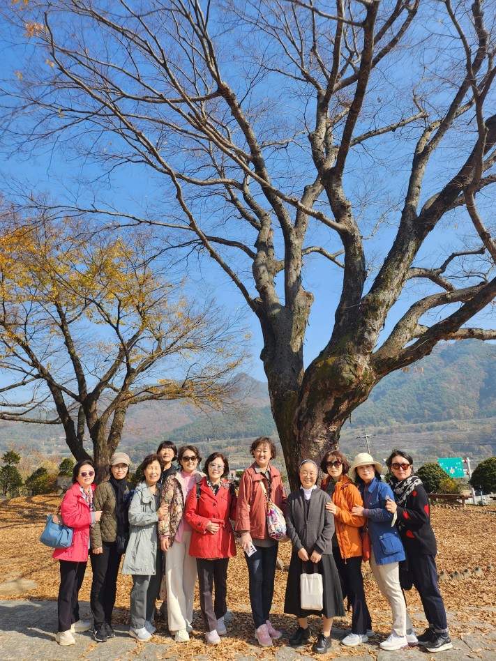 cca1adc0baf15d113988c3c1a7406e06_1699370