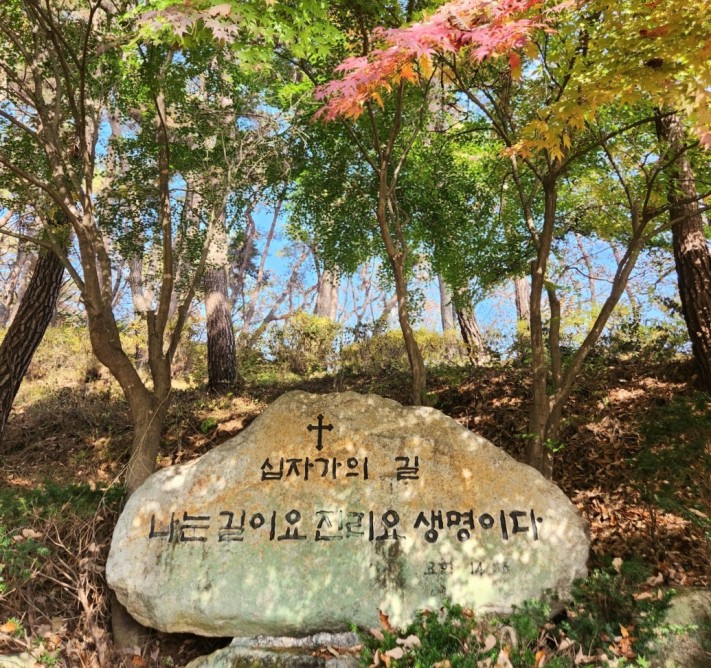 cca1adc0baf15d113988c3c1a7406e06_1699370